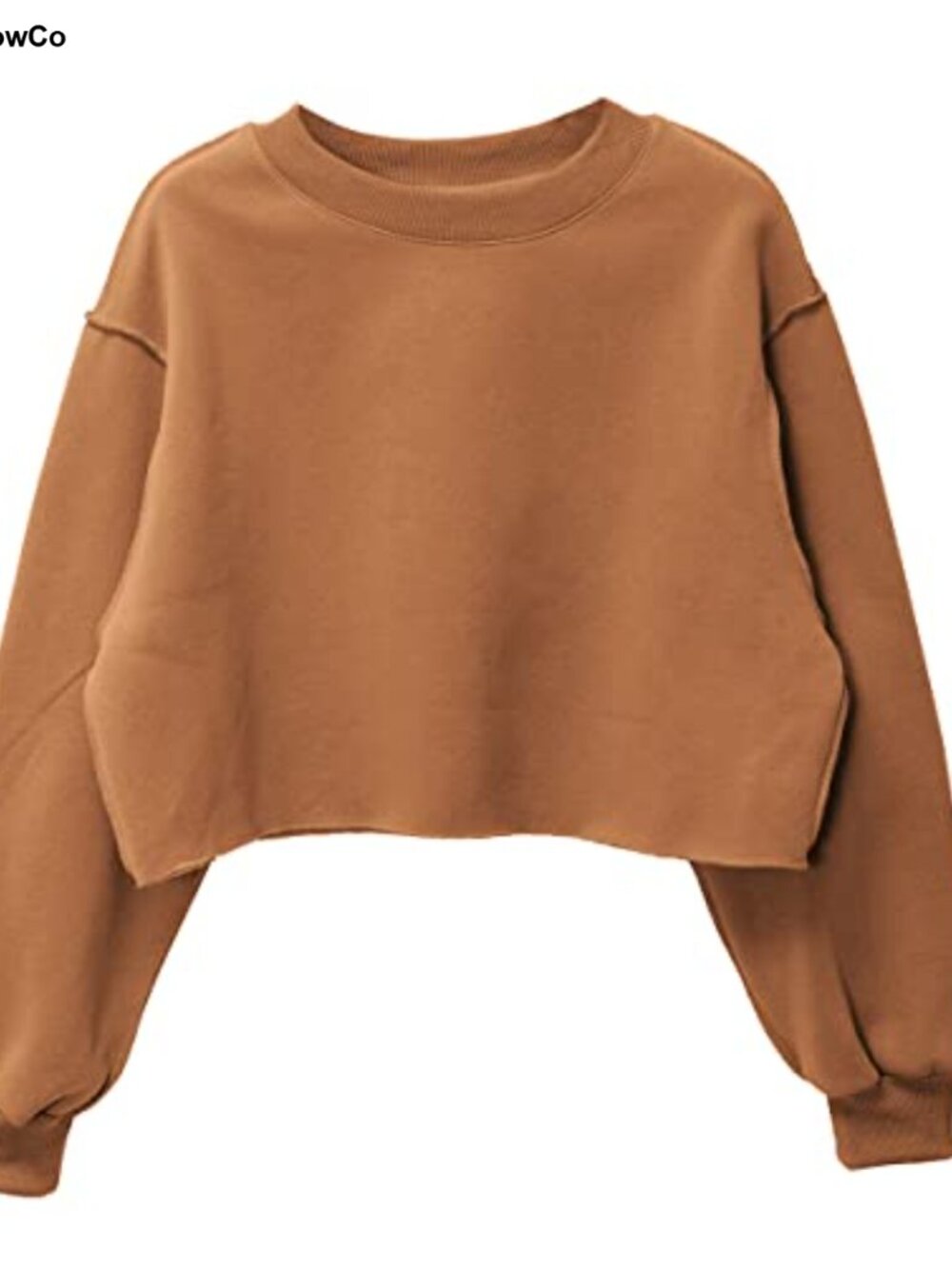 Cropped Raw Cut Fleece Sweatshirt Crewneck Pullover